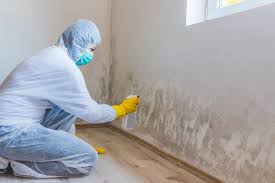 Biohazard Mold Removal in Troy, TX