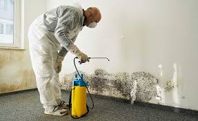 Best Environmental Consulting for Mold Prevention  in Troy, TX